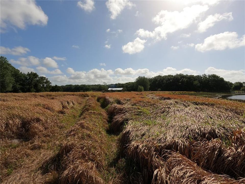 En Venta: $850,000 (11.81 acres)