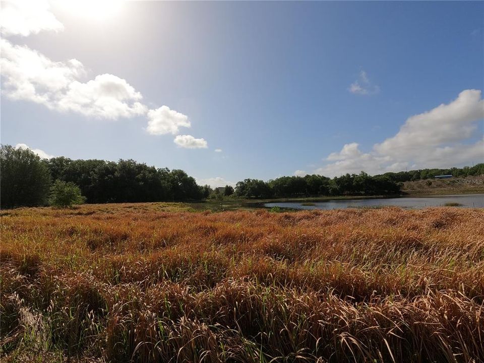 En Venta: $850,000 (11.81 acres)
