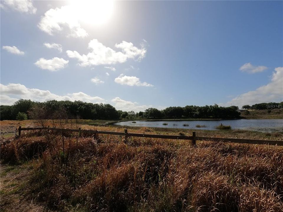 En Venta: $850,000 (11.81 acres)