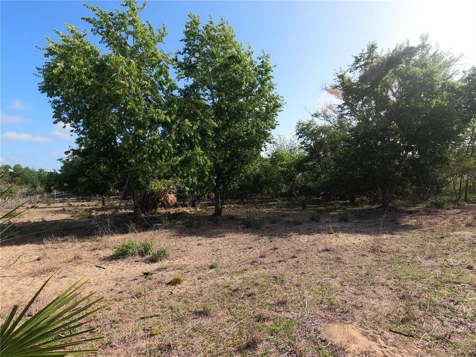 En Venta: $850,000 (11.81 acres)