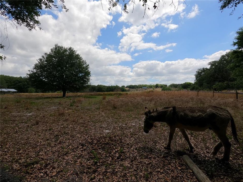 En Venta: $850,000 (11.81 acres)