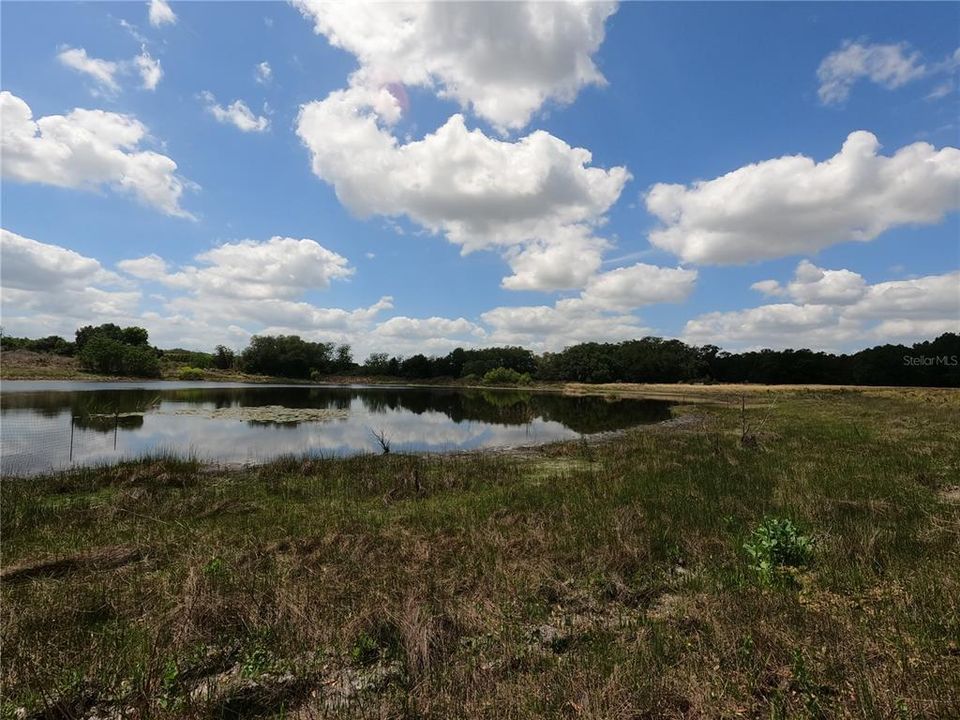 En Venta: $850,000 (11.81 acres)
