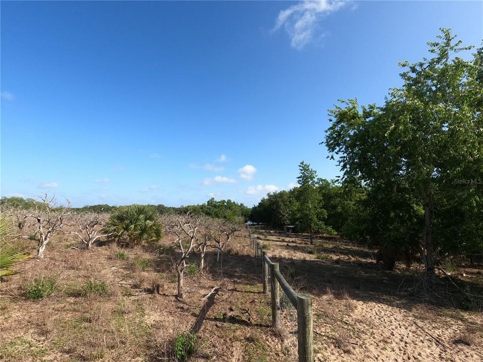 En Venta: $850,000 (11.81 acres)