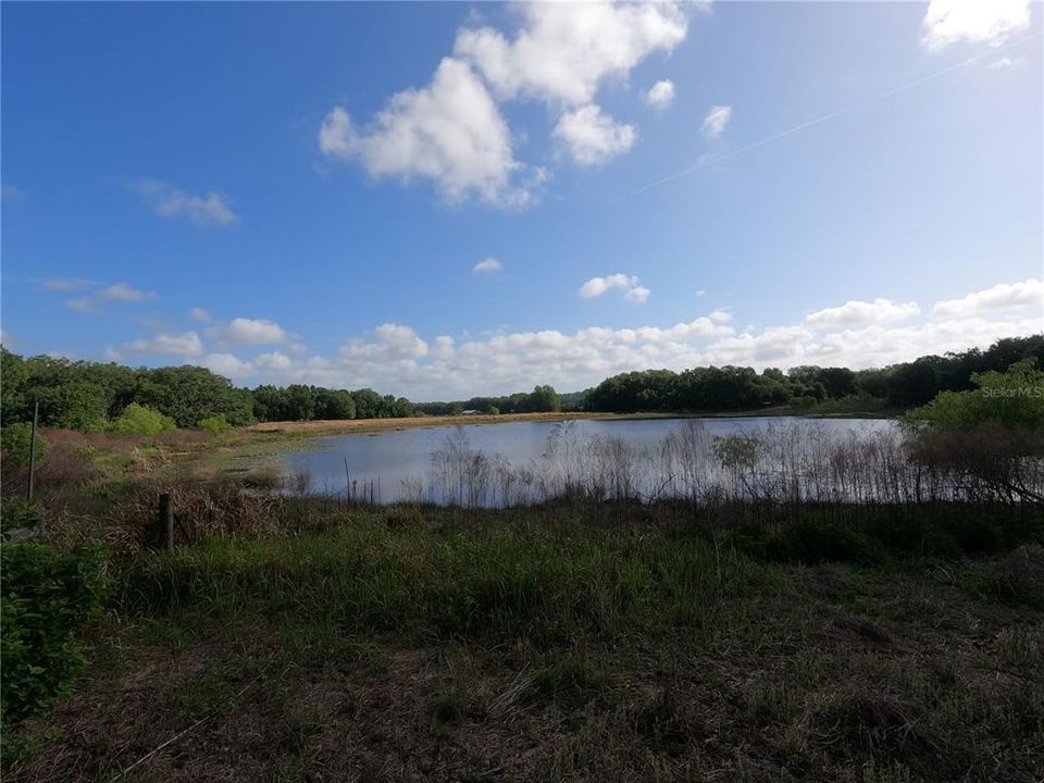 En Venta: $850,000 (11.81 acres)