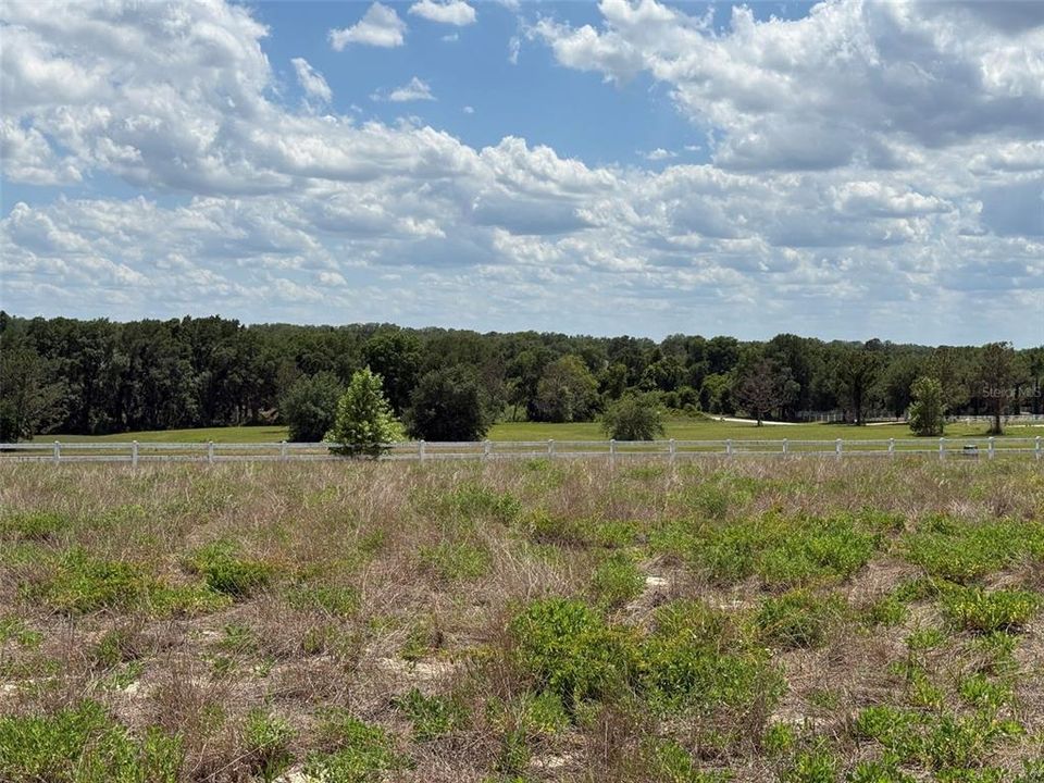 En Venta: $325,000 (5.02 acres)