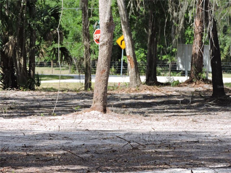 For Sale: $96,000 (3.20 acres)