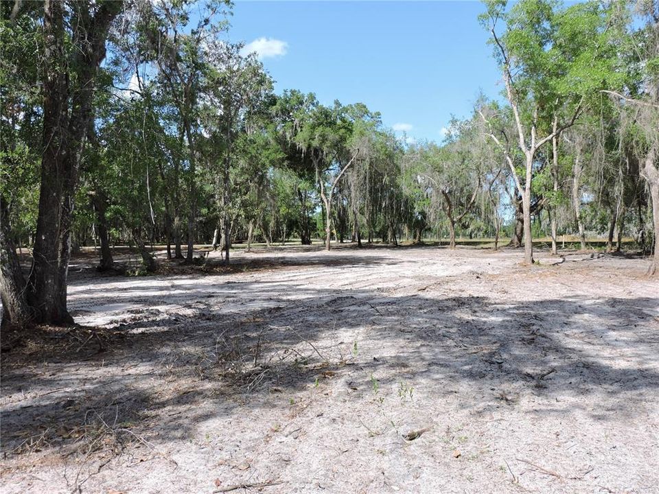 For Sale: $96,000 (3.20 acres)