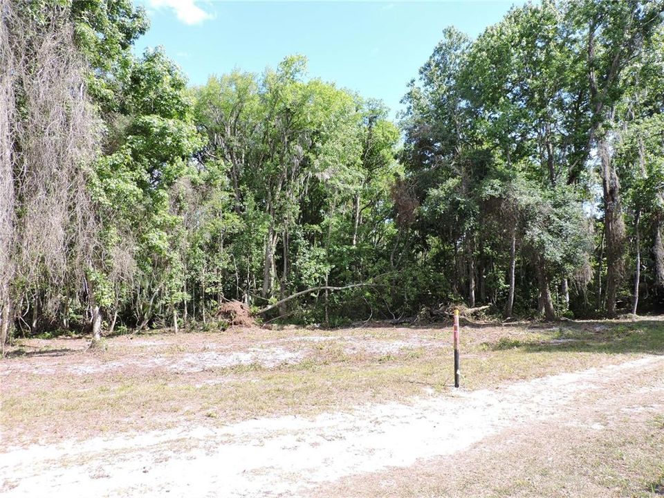 For Sale: $96,000 (3.20 acres)