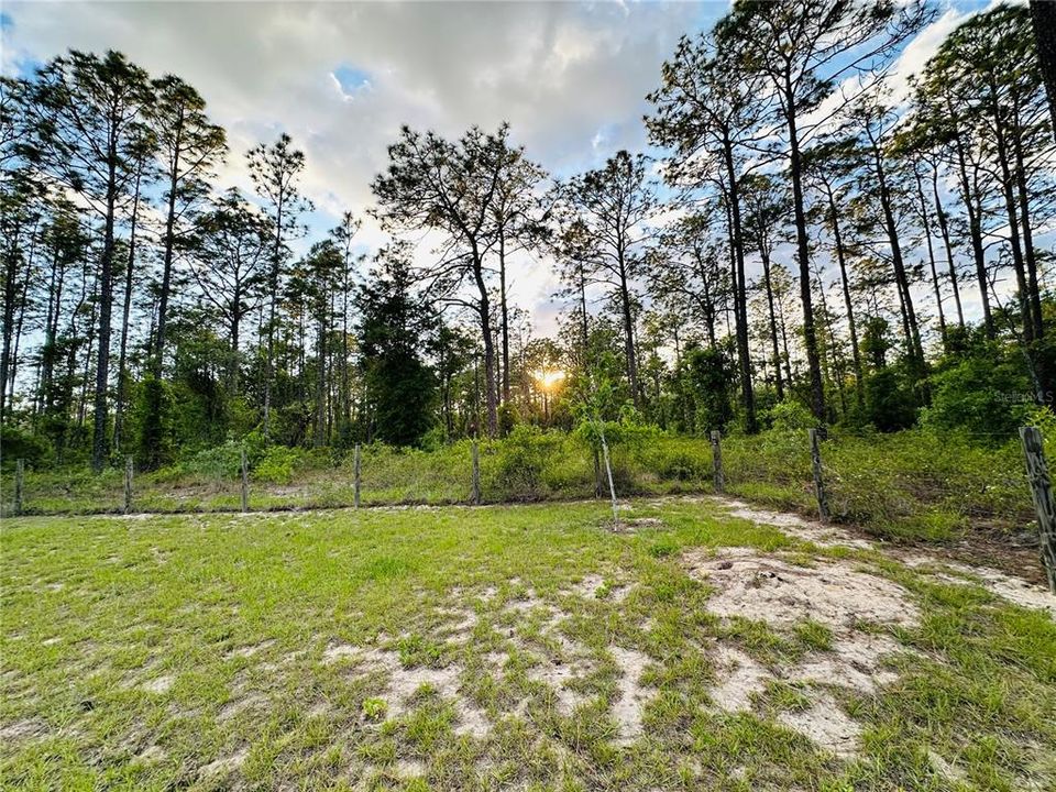 For Sale: $279,000 (3 beds, 2 baths, 1800 Square Feet)