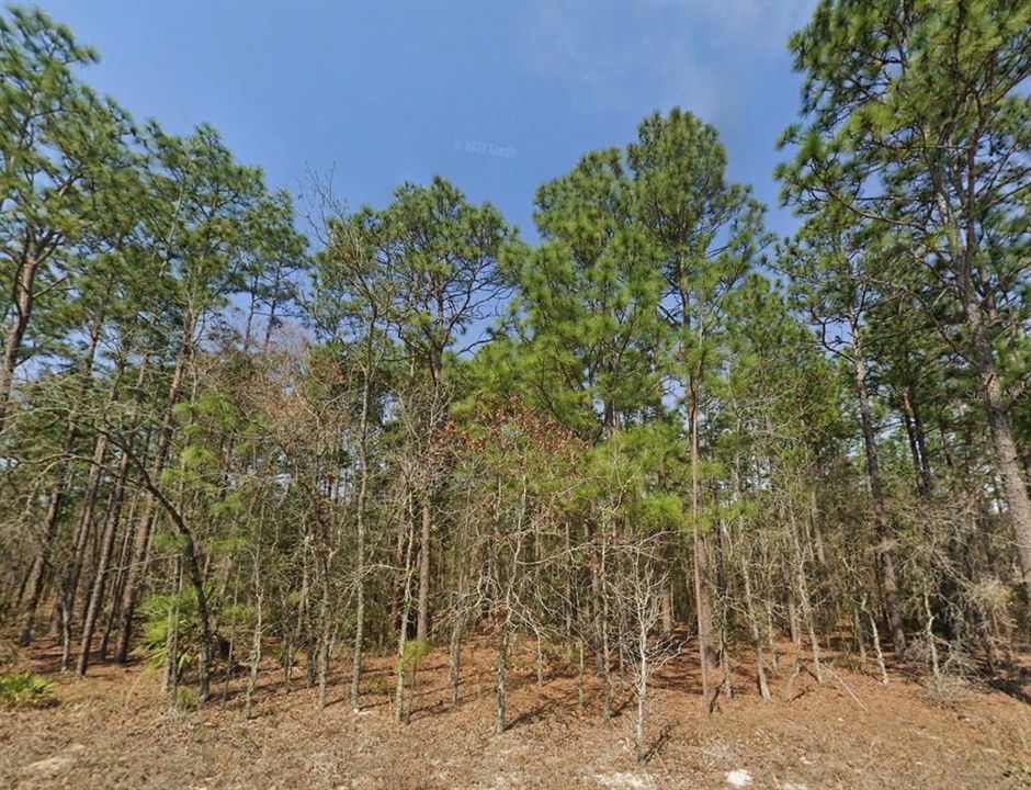 For Sale: $79,900 (1.16 acres)