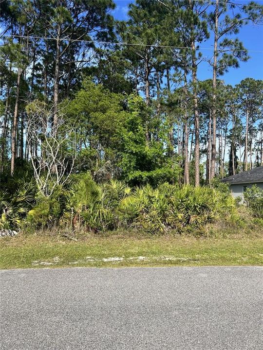 待售: $67,000 (0.24 acres)