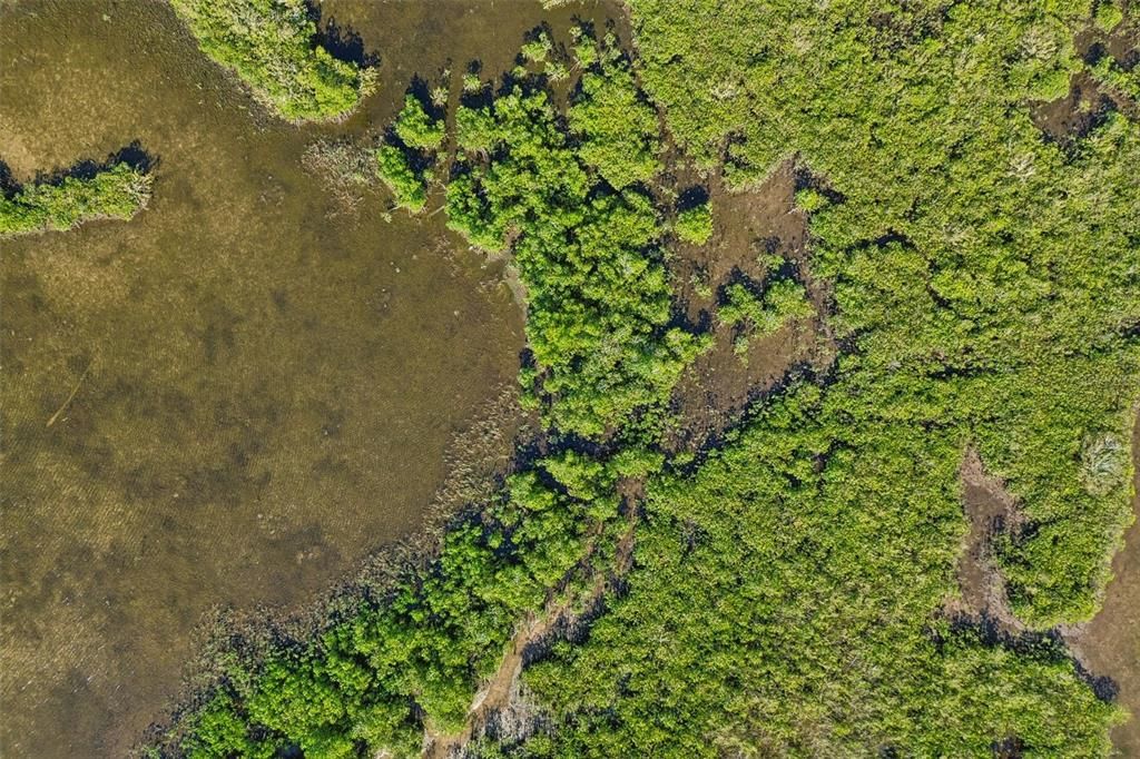 На продажу: $950,000 (3.40 acres)