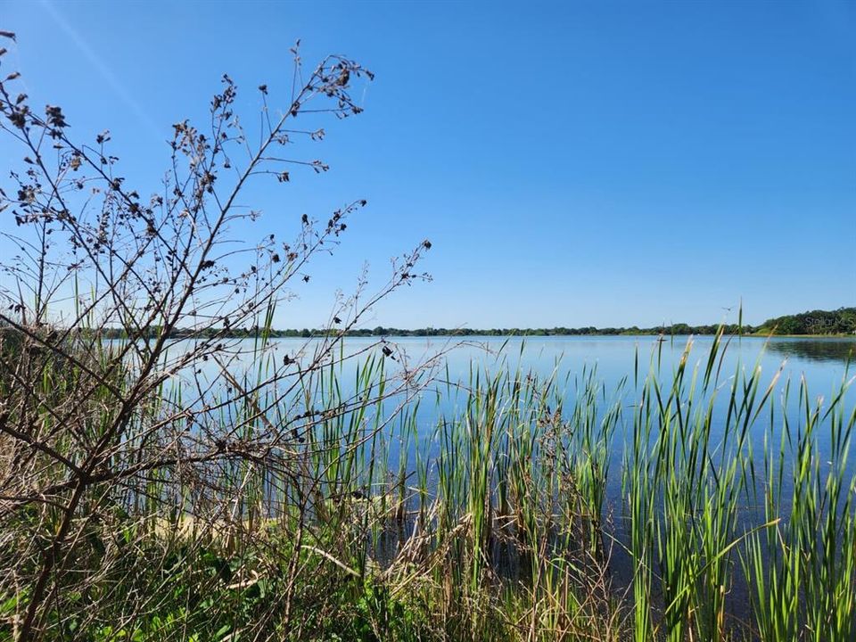 For Sale: $1,200,000 (7.43 acres)