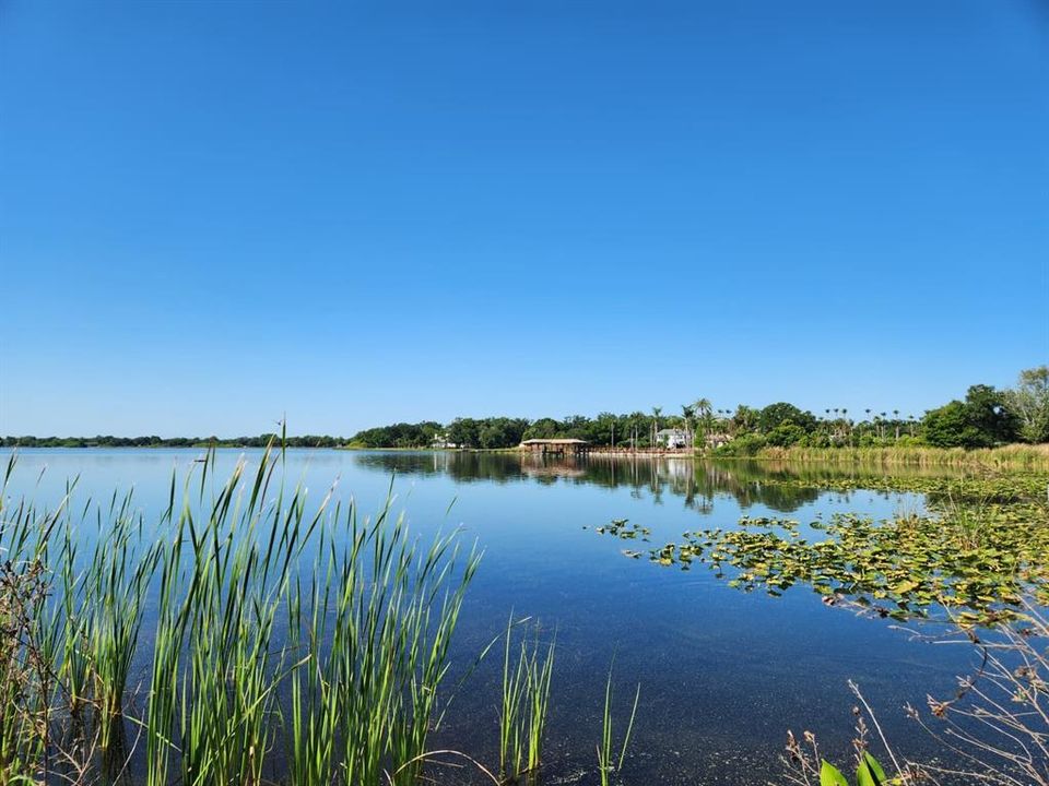 For Sale: $1,200,000 (7.43 acres)