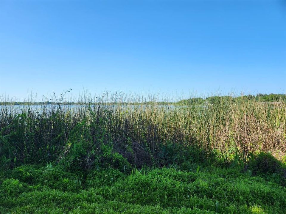 For Sale: $1,200,000 (7.43 acres)