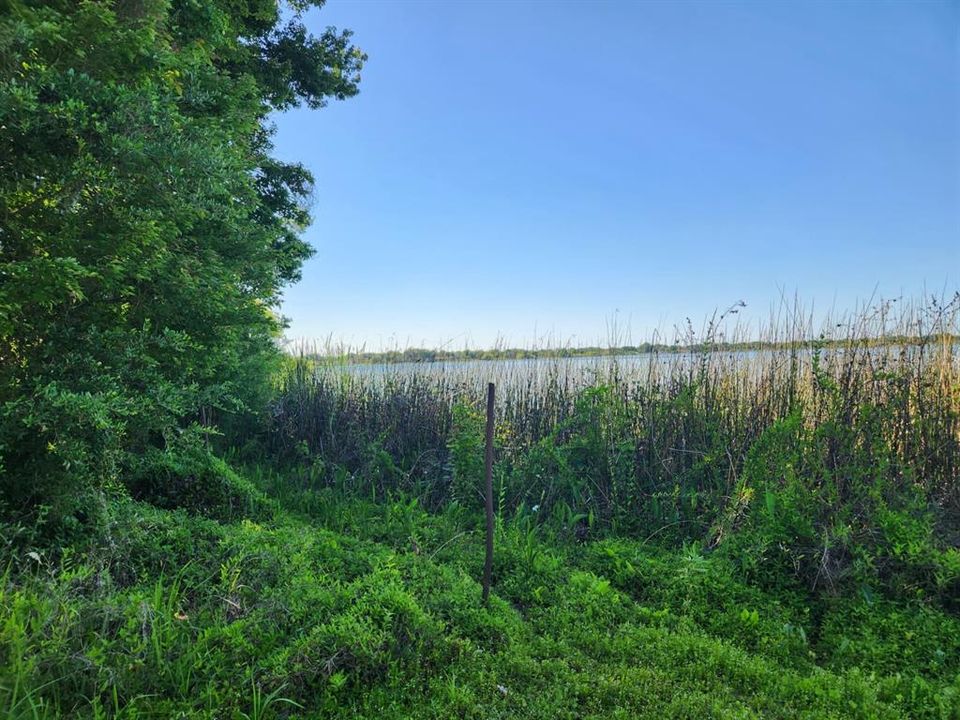 For Sale: $1,200,000 (7.43 acres)