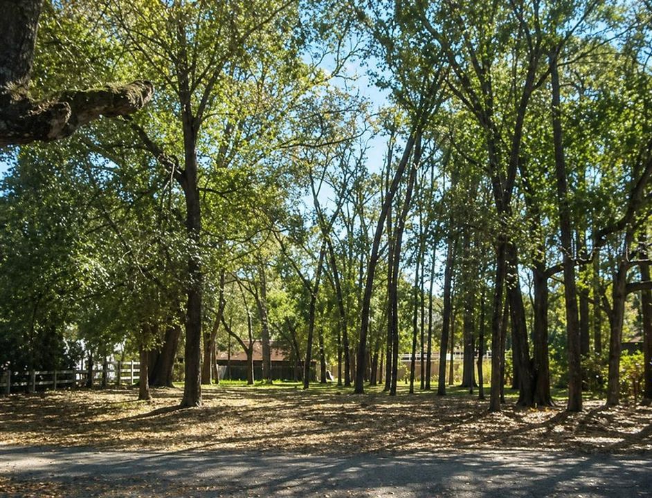 Recently Sold: $80,000 (0.26 acres)