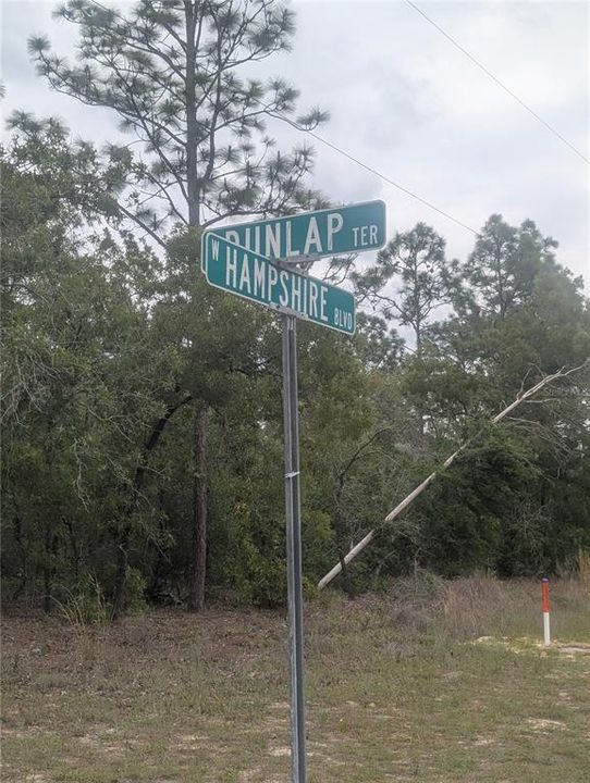 For Sale: $22,900 (0.28 acres)