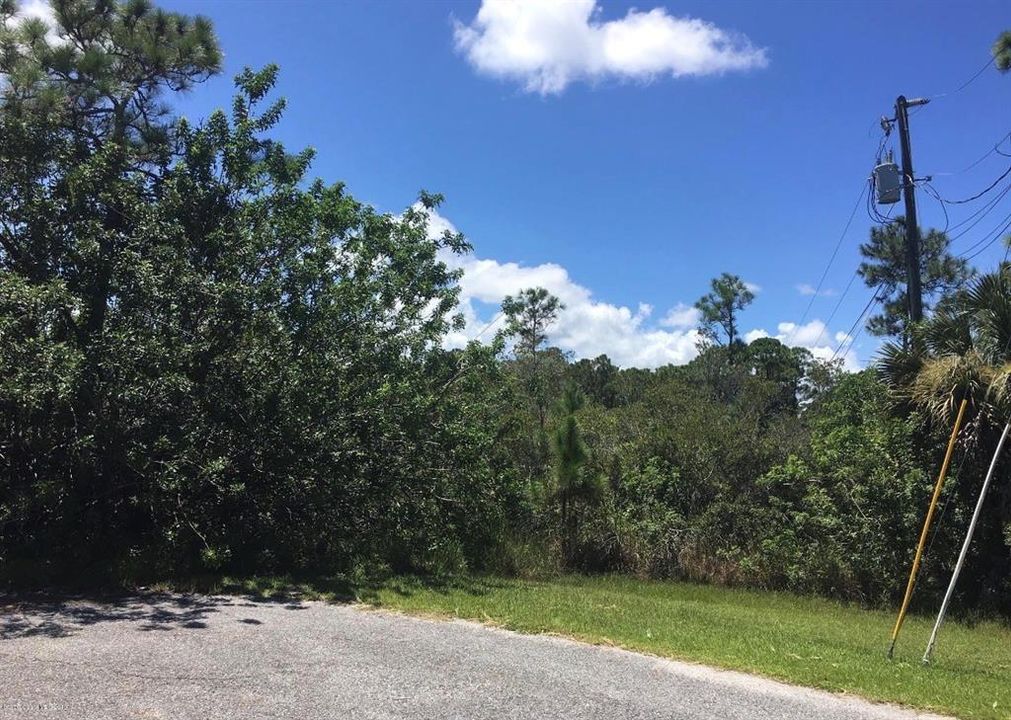 待售: $78,000 (0.23 acres)
