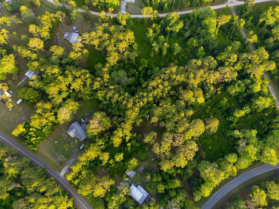 For Sale: $29,900 (1.21 acres)