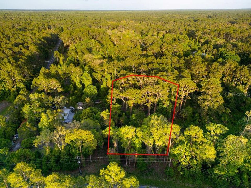 For Sale: $29,900 (1.21 acres)
