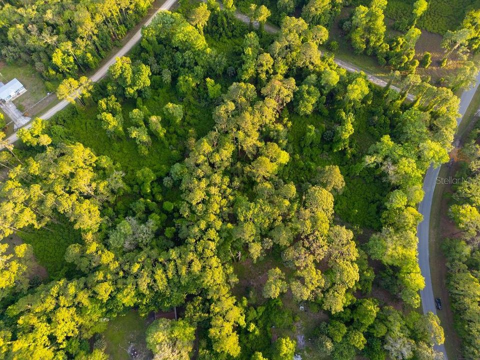 For Sale: $29,900 (1.21 acres)