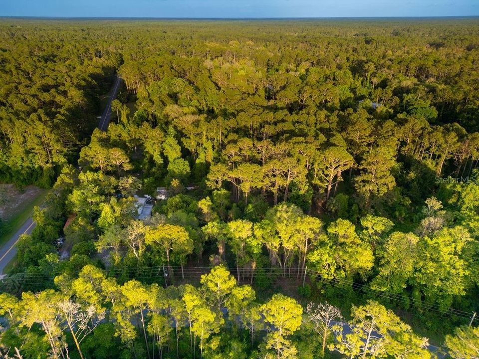 For Sale: $29,900 (1.21 acres)
