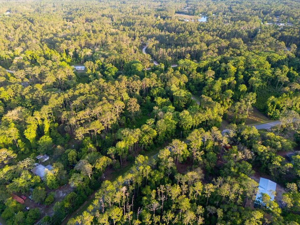 For Sale: $29,900 (1.21 acres)