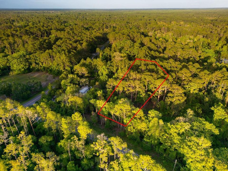 For Sale: $29,900 (1.21 acres)