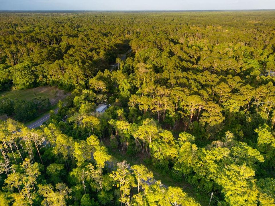 For Sale: $29,900 (1.21 acres)