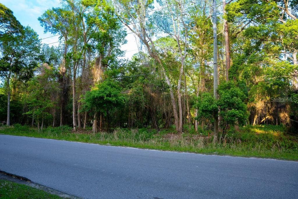 For Sale: $29,900 (1.21 acres)