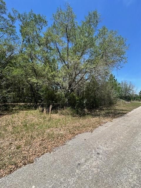 На продажу: $25,000 (0.23 acres)