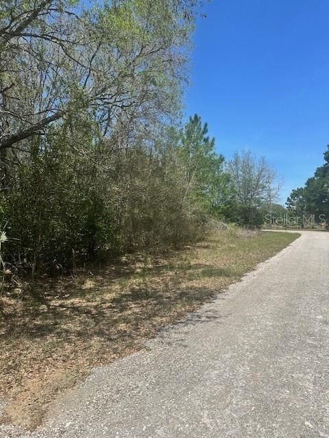 На продажу: $25,000 (0.23 acres)