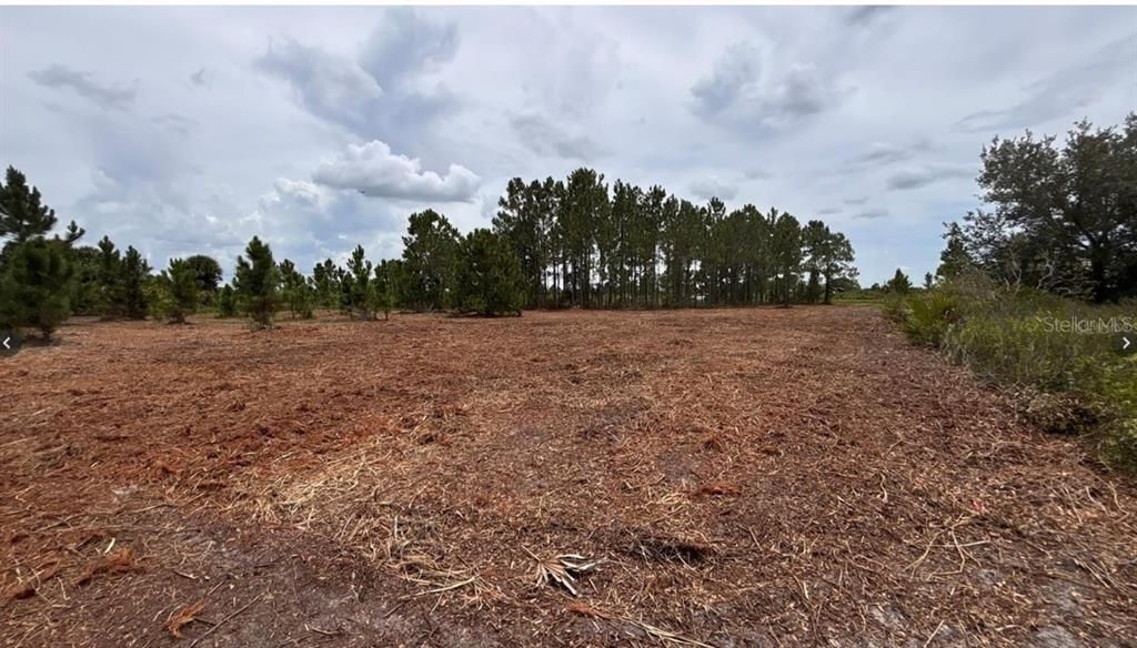 Недавно продано: $37,000 (1.25 acres)