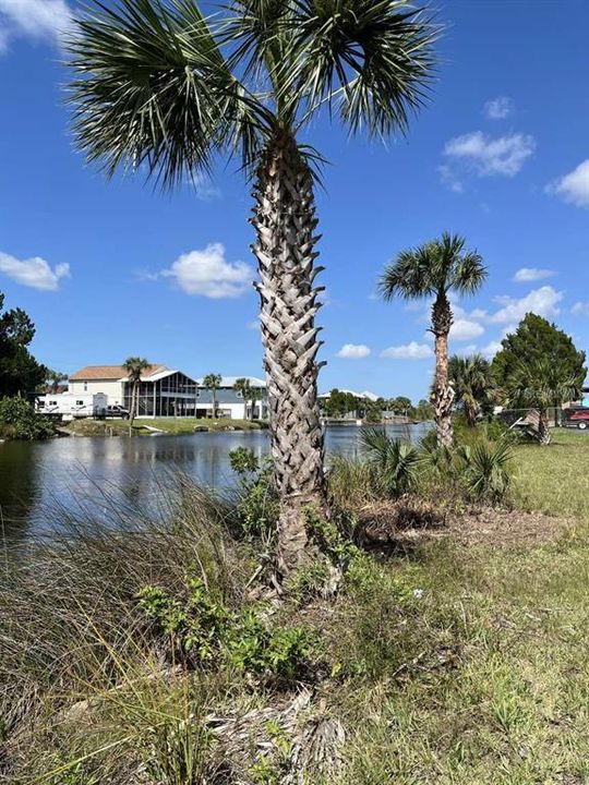 For Sale: $245,000 (0.42 acres)