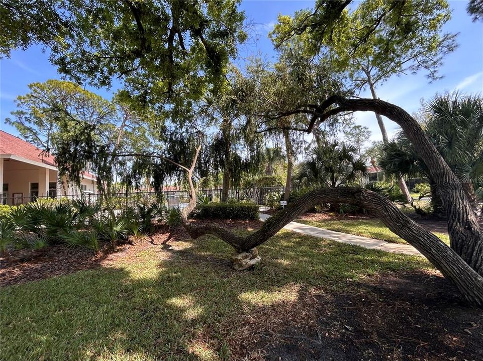 For Sale: $159,900 (1 beds, 1 baths, 800 Square Feet)