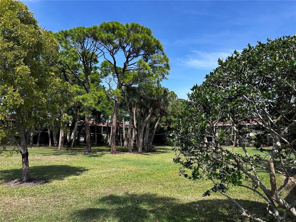 For Sale: $159,900 (1 beds, 1 baths, 800 Square Feet)