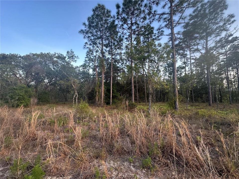 En Venta: $42,000 (1.00 acres)