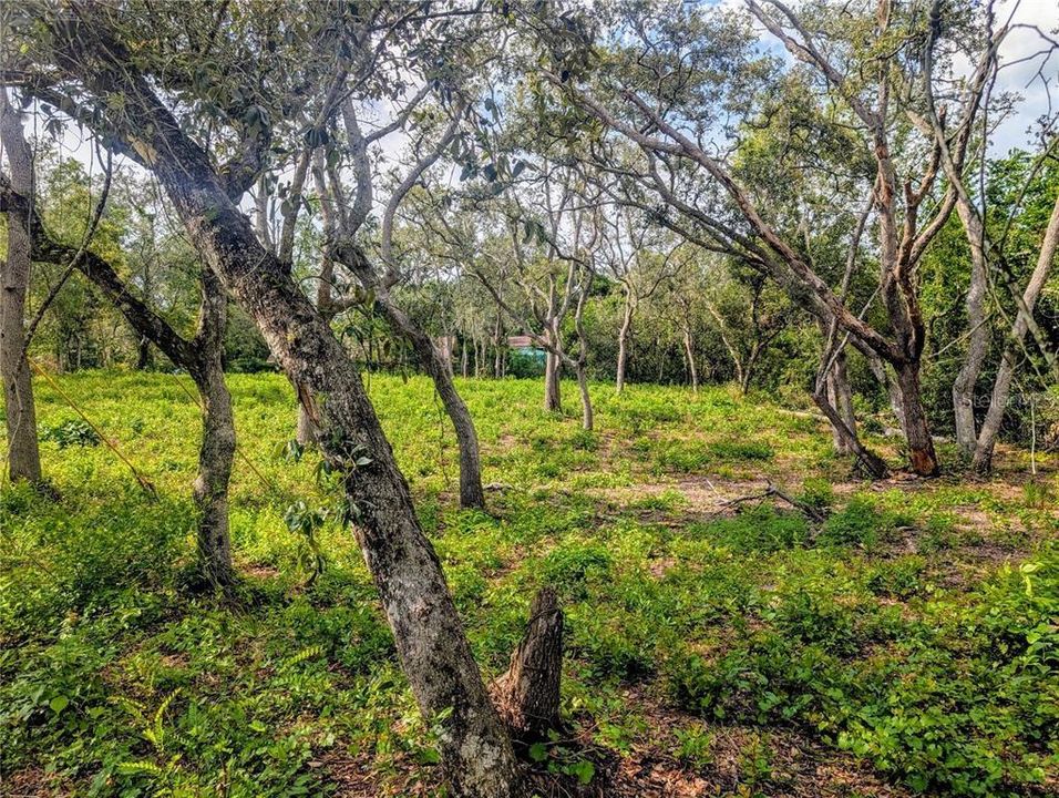 待售: $35,000 (0.44 acres)