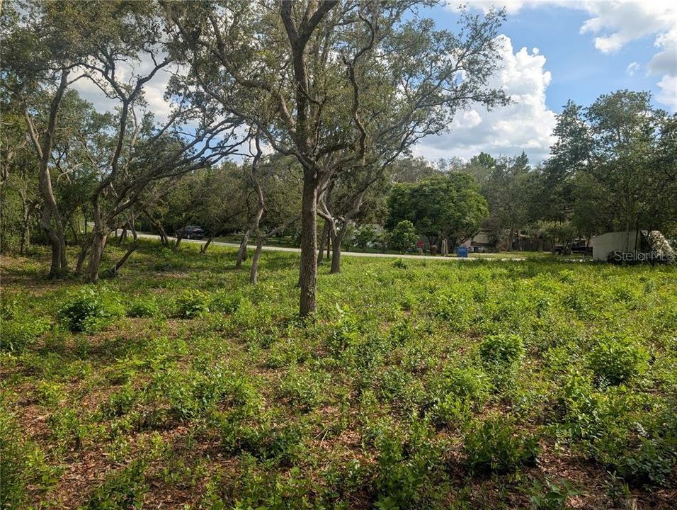 待售: $35,000 (0.44 acres)