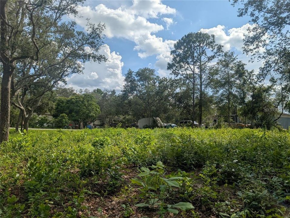 待售: $35,000 (0.44 acres)