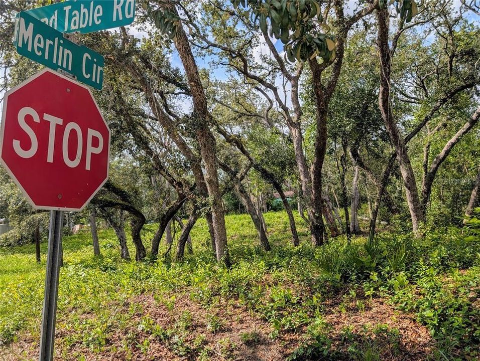 待售: $35,000 (0.44 acres)