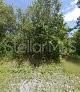 En Venta: $43,000 (1.09 acres)