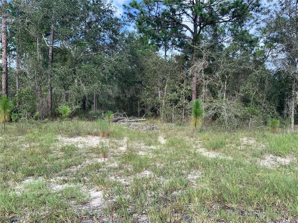 For Sale: $190,000 (9.01 acres)