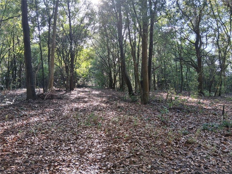 待售: $599,000 (10.04 acres)
