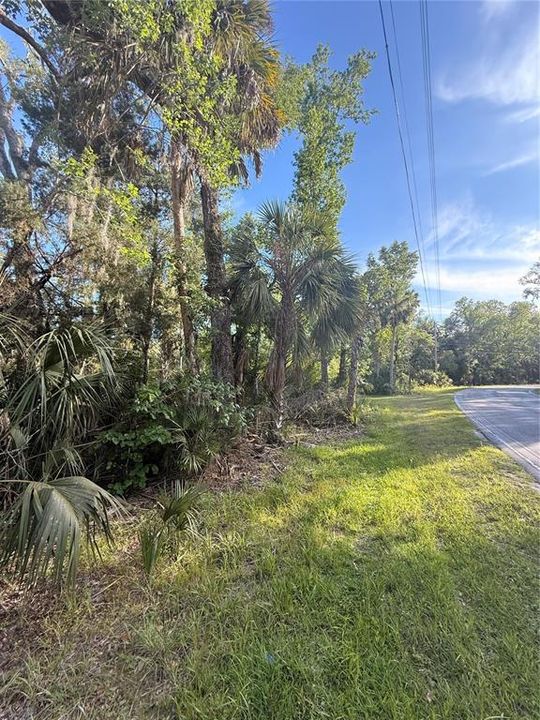 En Venta: $24,000 (1.13 acres)