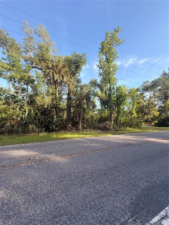 En Venta: $24,000 (1.13 acres)