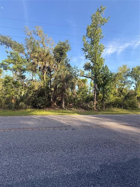 En Venta: $24,000 (1.13 acres)