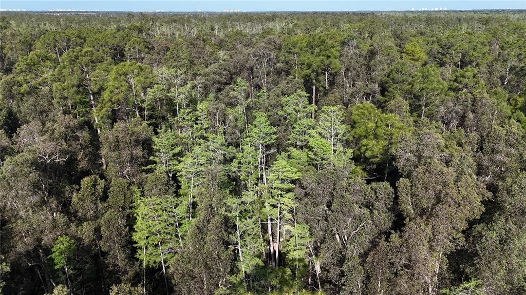 На продажу: $179,000 (5.00 acres)