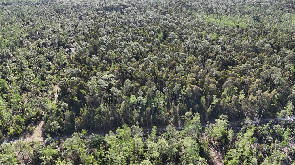 На продажу: $179,000 (5.00 acres)